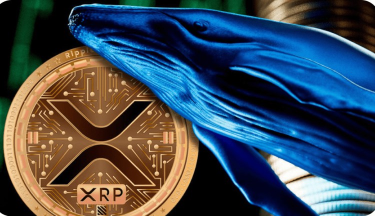 加密货币市场动态，市场下滑中的EXP代币预售飙升与XRP巨鲸转向ExoraPad的新动向解析