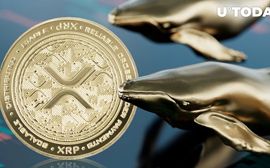 随着加密货币市场下滑，EXP代币预售飙升，XRP巨鲸将注意力转向ExoraPad——市场新动向解析