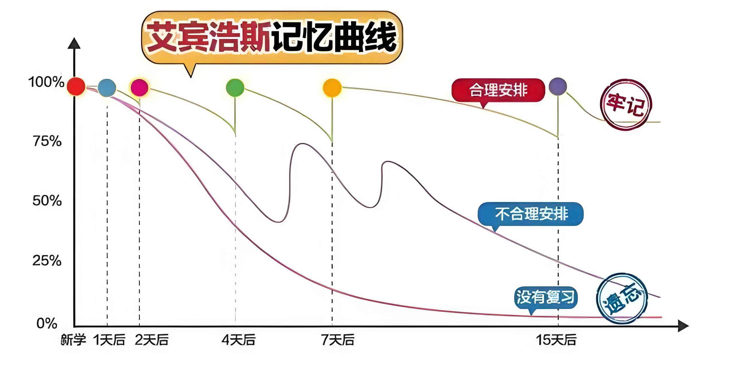游戏化学习新维度，多邻国与扇贝进度系统驾驭遗忘曲线的高效记忆密码