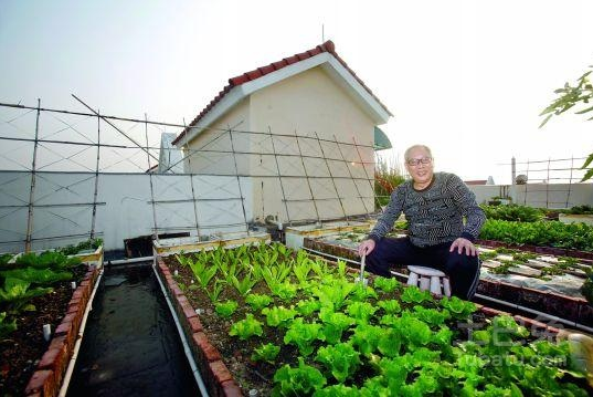 城市农夫实战手册，阳台屋顶种植的光照土壤管理全解