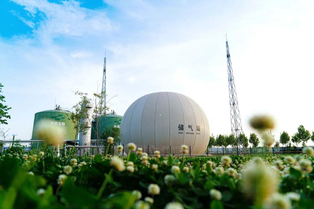 畜禽粪污能源化协同利用的平衡路径研究——基于沼气、有机肥与垫料的资源化整合