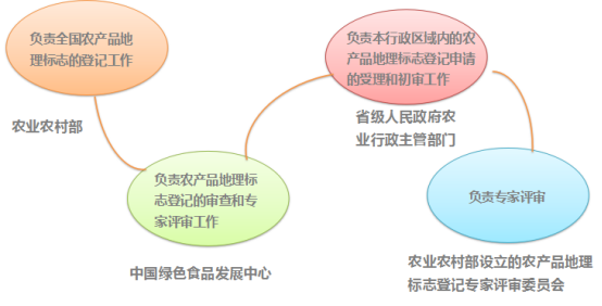 农标协同，区域品牌、质控与侵权保护的共生发展路径