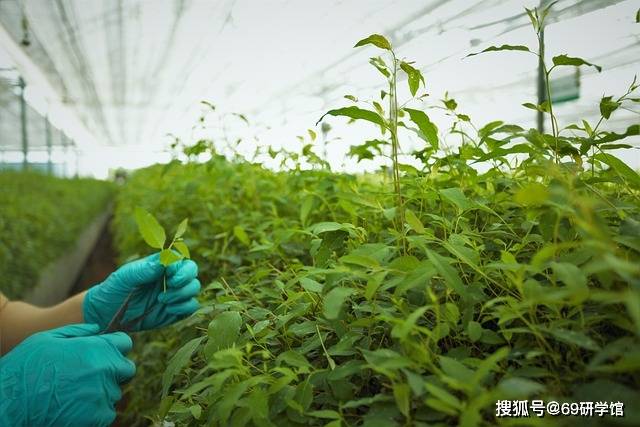农业对外投资合规实践路径研究——土地租赁、种植加工与风险管控要点探析