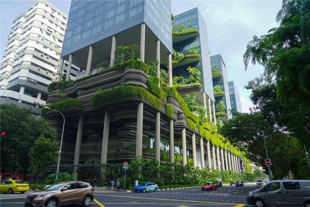 城市热岛缓解量化革命，冷屋顶-城市森林-通风廊道协同降温效应研究