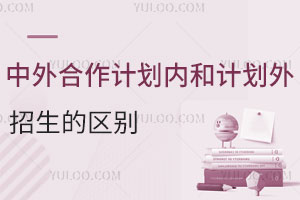 高校国际化战略的路径探索与风险防控机制研究