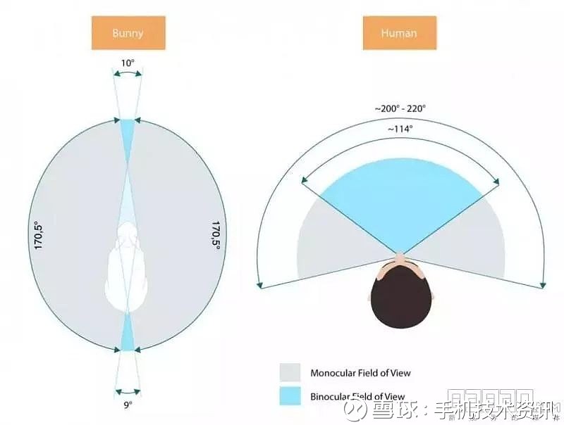 破译元宇宙眩晕症，帧率延迟、视野角与前庭视觉冲突的科技破解之道